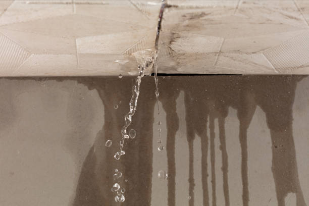 Professional Flood Damage Cleanup technician working in Greenville, SC